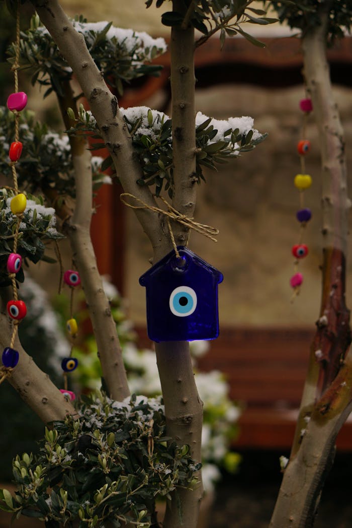 Services Evil eye charms hang on a snow-covered tree branch, adding color to a winter garden.